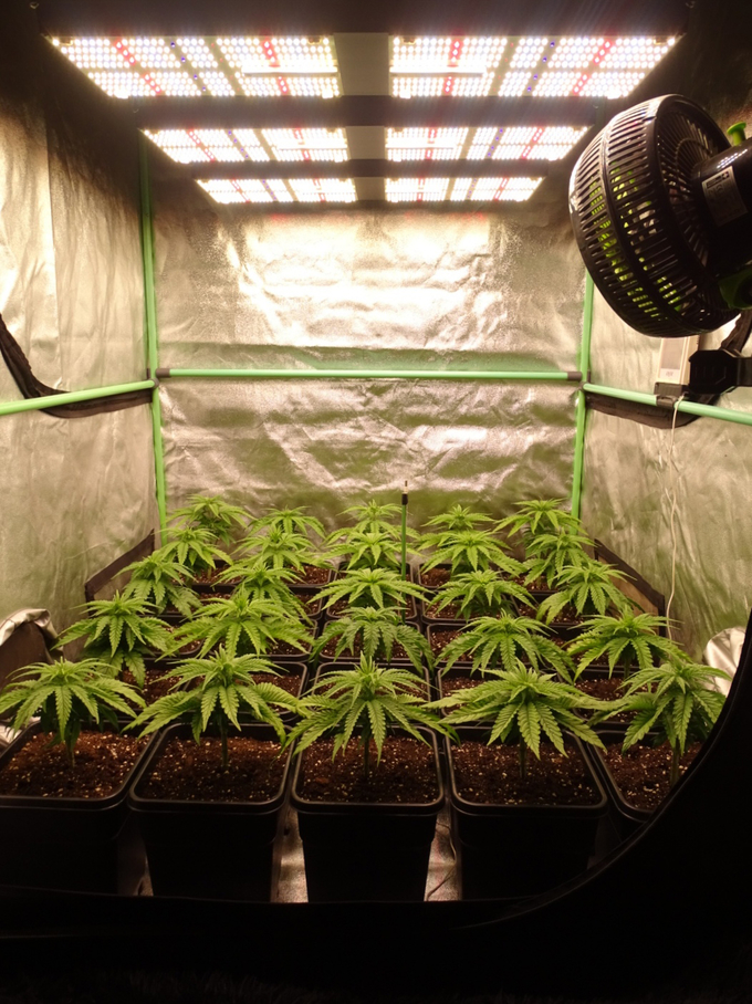 720w Hydroponic Ir Uvb Garden Grow Light Dropship Ip65 Waterproof 660nm Red 4