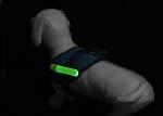 Eco - Friendly Nylon Webbing Glowing Pet Cat Safety LED Light Up Dog Harness
