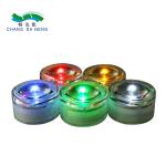 Decorative Pathway Lawn Light