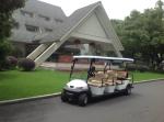 Colorful 11 Person Multi Passenger Golf Carts For Reception CE Approved