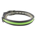 Christmas LED Dog Collar / Dog Training Collar Dog Leashes And Collars