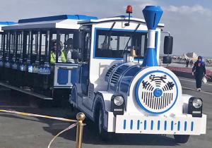 China 72 Seat Electric Trackless Train Kids Party Train Hand Painted Technics factory