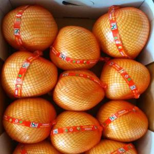 China Chinese Golden Supplier Delicious Fresh Honey Pomelo / Grapefruit With Global GAP Certified factory