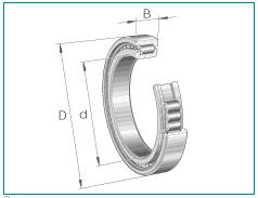 Single row Cylindrical Roller Bearing with 0 - 130 mm Bore , Open Seals Type