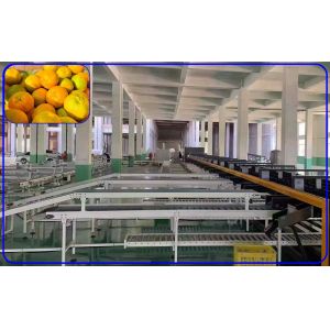 China 5 T/H Intelligent Mechanical Sorting Machine 3 Channel Orange Sorter on sale China 5 T/H Intelligent Mechanical Sorting Machine 3 Channel Orange Sorter on sale