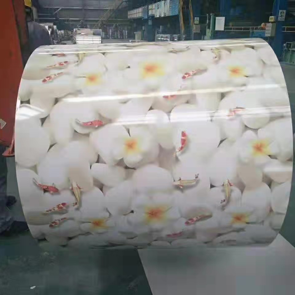 Yield Strength ≥265Mpa Color Coated Steel Sheet For Heavy Duty Applications