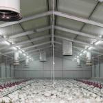 Fully Customizable Chicken House Construction Steel Frame Farm Building ISO
