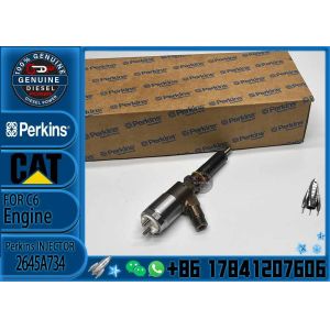 CAT C6.6 injector 306-9380 2645A734 Injection Nozzle 282-0490 2645A709 FOR E312D
