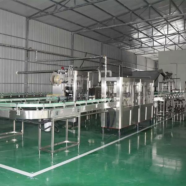 Professional Supplier fruit juice production line from fruit washing material
