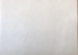 China 30g Water Electret Melt-Blown Non-Woven For FFP2, FFP3, KF94, KF99 Mask factory