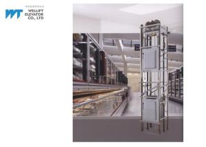 China Machine Roomless Dumbwaiter Elevator Without Shaft Double Door Lock Capacity 100-300KG factory
