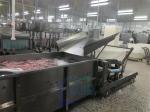 fish shrimp Processing plant production line feeder electric raw material