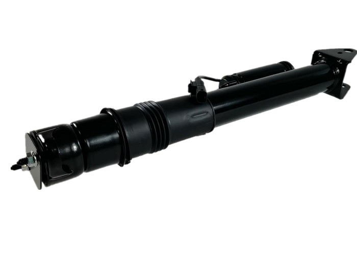 ISO W251 Mercedes Benz Air Suspension Rear Strut Replacement 2513201931