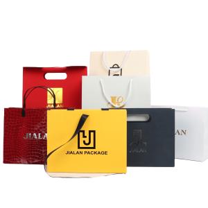 China Jewelry Gift Paper Shopping Bag with Custom Logo and Hand Length Handle Luxury Design factory