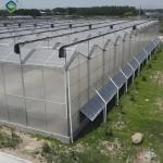 Venlo Style Polycarbonate Farming Green House Customizable Size