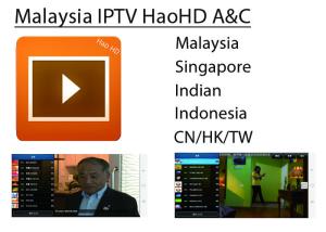 China HAOHD IPTV Malaysia Singapore Live Channel Subscription For android TV BOX factory