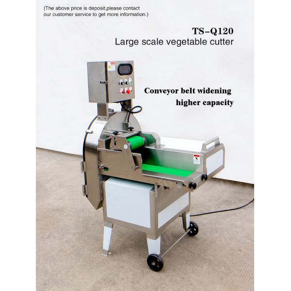 2.25KW 140KG 1.5HP Frequency conversion adjustable belt vegetable slicer vegetable leaf slicer