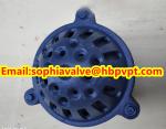 PN16 GG20 BS21 cast iron foot valve