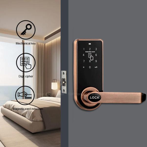 Smart Hotel Room Electronic Door Locks RFID Card Password TT Lock With
