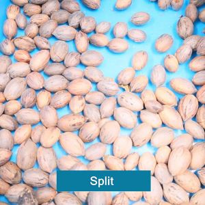 8 Exits 380V Pecan Sorting Machine CE Approved 1 Ton Capacity