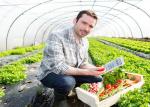 Smart Control Plastic Film Greenhouse , Flower / Vegetable Agricultural