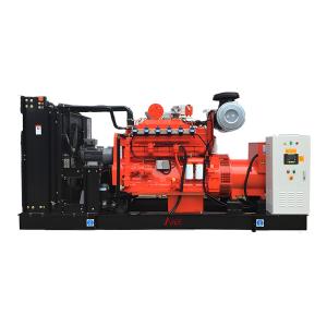 China 250kVA Natural Gas Generator 3 Phase Cummins Natural Gas Gen Set factory