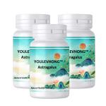 Non GMO Organic Astragalus Supplement Long Shelf Life Pure Natural 100 Capsules