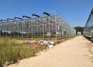 China Venlo Glass Greenhouse , Multi Span Greenhouse For Hydroponics System factory