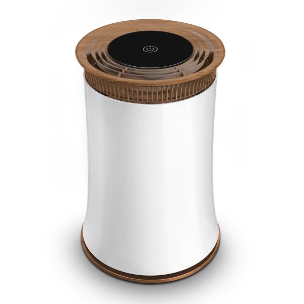 China Household Anion Air Purifier factory