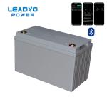 Bluetooth 100Ah 12V Lifepo4 Battery 12 Volt Deep Cycle RV Battery