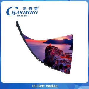 4k P2 P2.5 P3.076 Indoor Led Soft Module 400-800 High Brightness Rgb Led