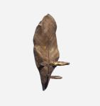 High End Luxury Antique Design Hotel Wall Decor Bronze Holder