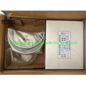 Fixed Installation Method Exhaust Valve Seat Ring Z6170.1-45b/46 for Zichai 6170