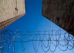 Garden Barbed Coil Razor Barb Wire Helical Wire Roll Galvanized Steel
