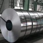0.5mm Ss Stainless Steel Sheet Coils Cold Rolled 304 316 316l 409L