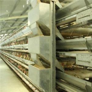 China Automatic Poultry Farm Feeder And Drinker , Steel Chicken Raising Equipment factory