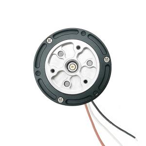 China Faradyi Customizable Light Weight Mini Brushless Dc Gear Motor 10:1 Reduction Ratio 1 N.M 300Rpm factory