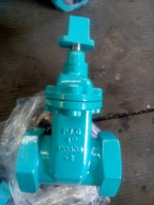 China ANSI gate valve threaded ends factory
