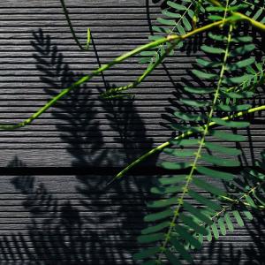 China Sturdy Wood Plastic Composite Panel Boards Fireproof Lightweight factory