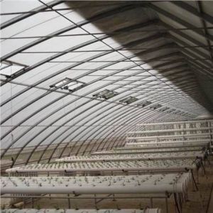 China Advanced Vegetable Cultivation Sunlight Greenhouse 40HQ Reefer Container for Superior on sale