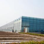 Farming Venlo Aluminum Frame Glass Greenhouse For Agriculture Growing