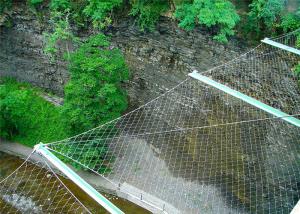 China 100*100mm Stainless Steel Webnet Wire Mesh For Plant Climbing factory