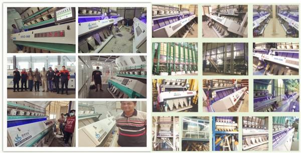 Fully Automatic Multi Food Grain Sorting Machine For Rice Peanut Kernel