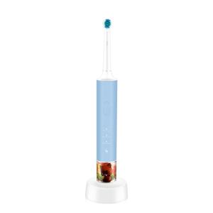 China Rechargeable Rotating Electric Toothbrush factory