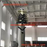 18m pneumatic telescopic mast 15 kg payloads NR-3300-18000-15L for mobile