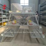 Galvanized 25 Years Lifespan Pullet Chicken Cage Emily