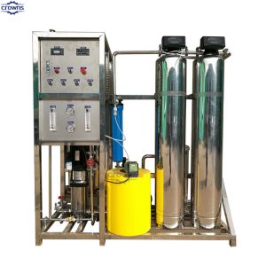 20000L/Hour Industrial Drinking Water Purification Systems with V-clamp