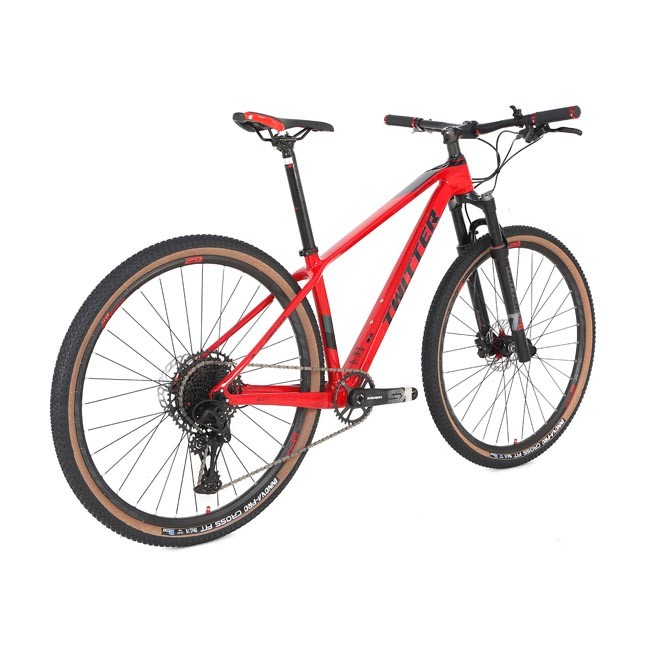 29 Inch Wheel Carbon Fiber Mountain Bike SRAM SX 12S Hydraulic Disc Brake