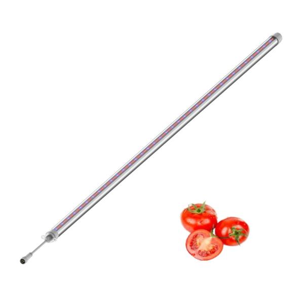 Tomato grow light 50W LED Interlighting IP66 Commercial High Efficiency