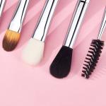 Antimicrobial 10pcs Eye Makeup Brush Set